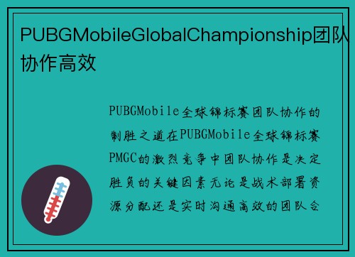 PUBGMobileGlobalChampionship团队协作高效